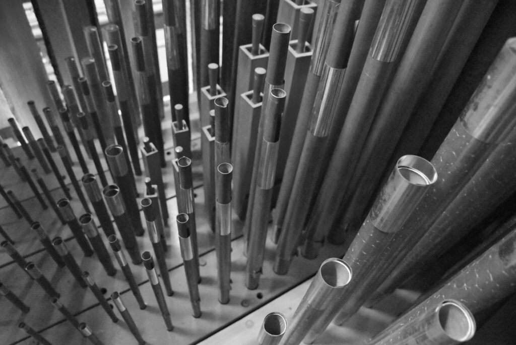 Looking down the pipes of an organ